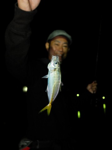 upig6kkg84ao8wuopj58_480_480-9c1d0ddb.jpg