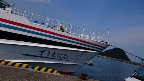 upngfu2axatwcgexo3io_768_432-8b337cca.jpg