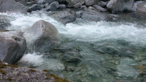 upnorzfk7fs477p6nscx_480_480-5287188c.jpg