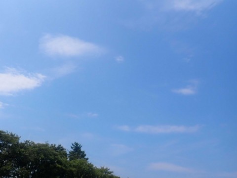 upsh8tj9rrg6kbodmktz_480_480-61ce421e.jpg