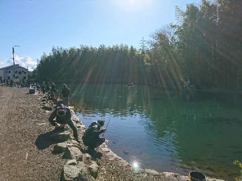 upw6ogcbf5ddfrohzfcg_480_480-ab233080.jpg