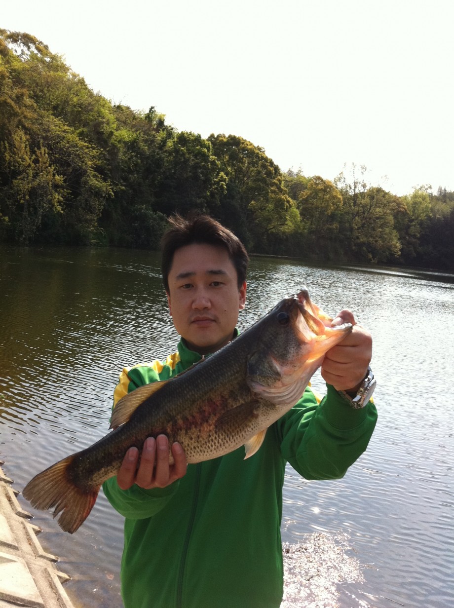 思いもよらない釣行記 メバリングタックルでブラックバスを釣ってみた