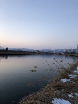 uraouynv4d8owxhai7rr_361_480-6a07c7c4.jpg