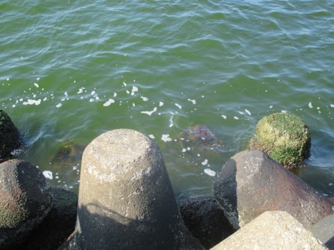 urco7jmie8i54j5c4g96_920_690-694353fd.jpg