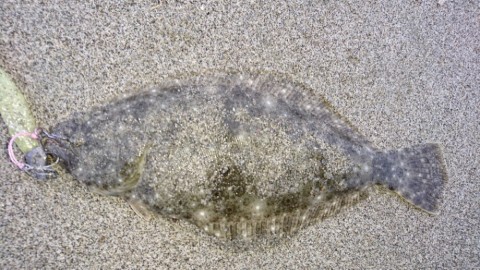 urg7mbg5hchjs44agpxy_920_518-daa551c5.jpg