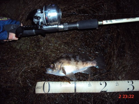 urterc5rnpbgnymdies3_480_480-48da9058.jpg