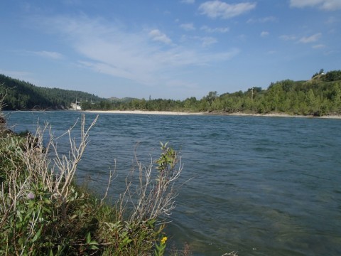 us97adza5pawofndnka5_480_480-288932d6.jpg