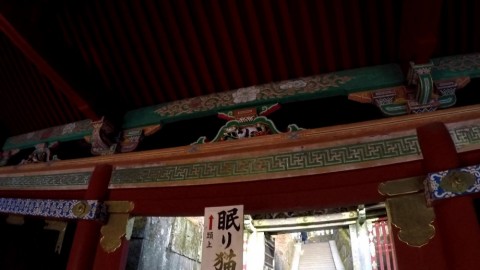 usdgmcxnfyvr959ngwjt_480_480-54f0baf3.jpg