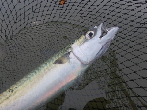 uskn7jjig33x7mm9wc79_920_690-779be372.jpg