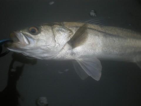 usoevm8np7krfhvn36mz_920_690-e7c8214d.jpg