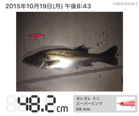 uspg4aa9avkvrj8dnsei_920_771-272a6017.jpg