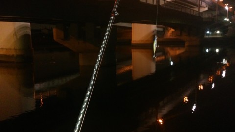 uss8nrw4o2xnxz3wr65p_480_480-79c754e9.jpg