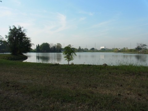 ussenerx75b5zud85xnn_480_480-ec112239.jpg