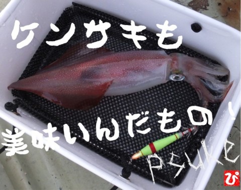 usujbh4x2ukiku7pjd65_920_726-f4014d09.jpg