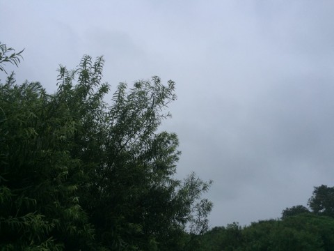uswsb6sj39rczfyhywm7_480_480-07467ea0.jpg