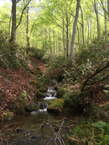 uszbwy576a77nhnp93kf_690_920-20e08f4e.jpg