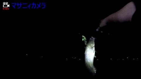 uszihsw9s4h2ns9jgp3b_480_480-3d012e7c.jpg