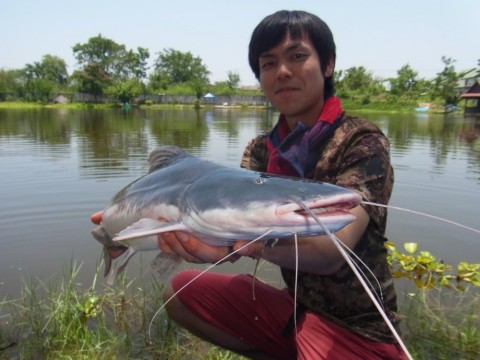 ut5tfxemaegjvpkpy29w_480_480-d020371b.jpg