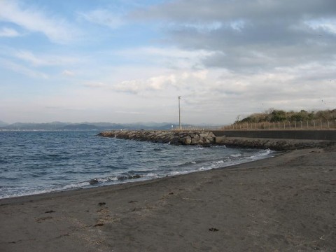 utdsYAnvYApyTf9gfcMZ_480_480-4df58fe7.jpg