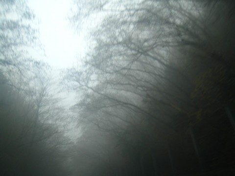 uteguvzenkxvhokaa2pw_480_480-9907c659.jpg
