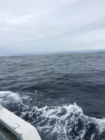 utj59dkuaimmvzdbymrh_690_920-fc407e71.jpg