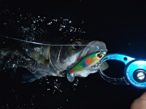uttf9bofpjpjyd5hggd4_920_690-273d13f0.jpg