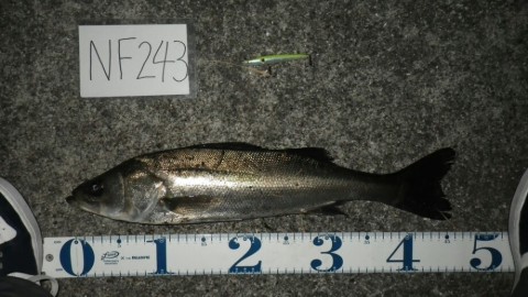 utuk8dusxevtuftofifs_920_518-d8913819.jpg