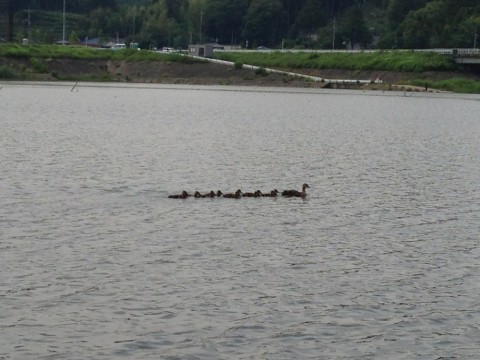 utyjfb478tnnojkf3msn_920_690-99f950ea.jpg