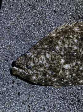 uuemxi7bggewinchko3o_358_480-019c84b1.jpg