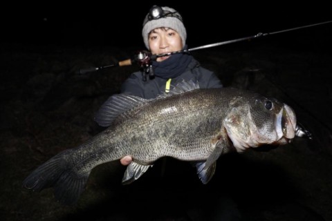 uurnbdpeiy7g4dghc4fk_480_480-ca2bc689.jpg