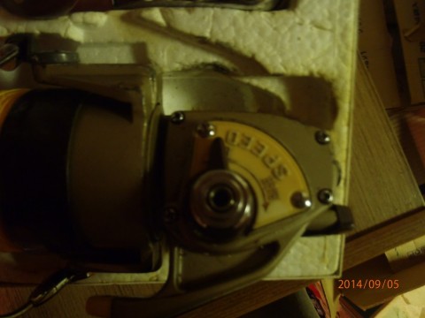 uuudyg5yd4ccewf8m262_480_480-97907b4c.jpg
