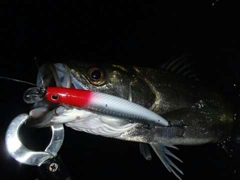 uuv46ry2fwe92ex8358k_640_480-bf71d6ea.jpg
