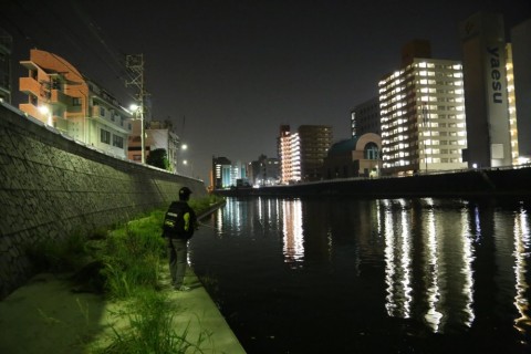 uvavynnmcbkmrpvnwuc7_480_480-222b7022.jpg
