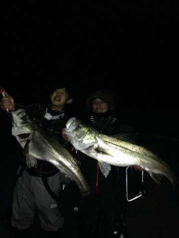 uvgry5shg4irwmtskzjv_480_480-50eb5c26.jpg