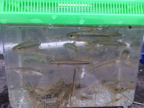 uvieukkxta6pkoomo5ys_920_690-4d4ad006.jpg