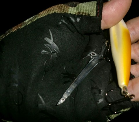 uvpupa24ka8y4dzy5wfn_920_812-87b9c106.jpg