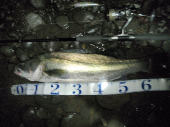 uw66xnu36eb2wzuj47hn-95f1b4be.jpg