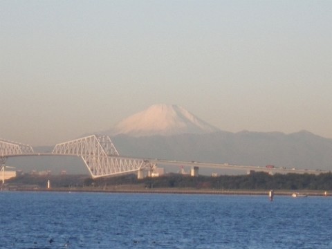 uwbd8u2au9wt7wemi2eg_480_480-0291f034.jpg