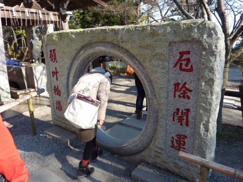 uwbdhpcd5n9h7z2p8fxt_480_480-d50b1c90.jpg