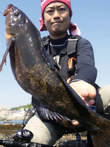 uwyeakuxesndtu9d5fmd_480_640-a8511395.jpg