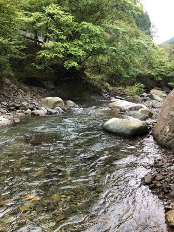 ux56w7frivad3xkg6yyh_480_480-618434f8.jpg