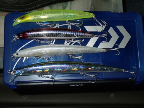 ux93g7nywwafhbiw62oa_480_480-e2576c17.jpg