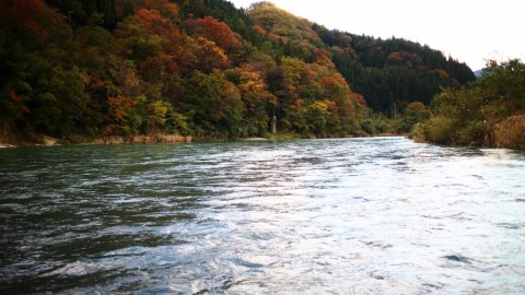 uxmjvwxj8xi22tcyjub3_480_480-c09d2314.jpg