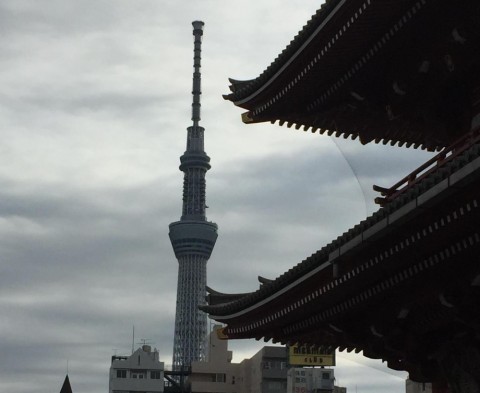 uxnffjp5saxhfvswn826_480_480-b3273e35.jpg
