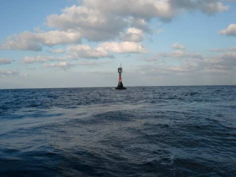 uxojxonoc8vncdfkcf69_480_480-fd6e1fb8.jpg