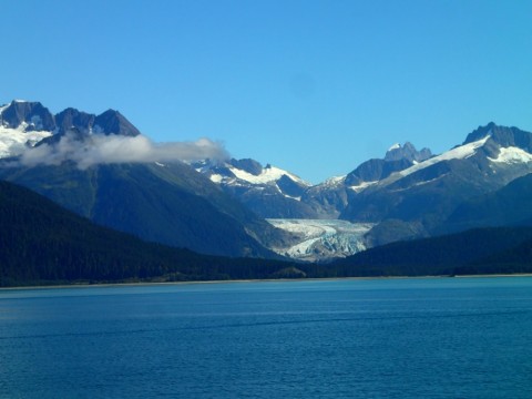 uxpestpegpvpe5okgxjg_480_480-ca3b4508.jpg