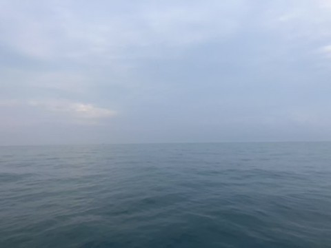 uxxxdhtap2p7rtb9dr2i_480_360-6cf92dfe.jpg