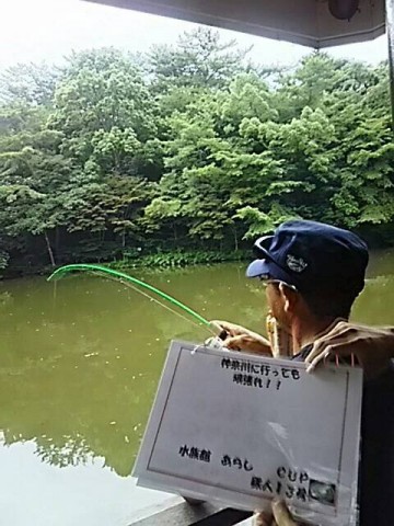 uy2j66jgjbysi24nysgx_480_480-b80e677d.jpg