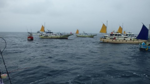 uyanec8ncp4ydzskxpv8_480_480-81f49763.jpg