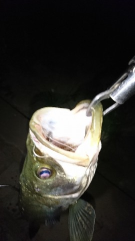 uyg3k5mia837rmpo49kn_432_768-42997578.jpg